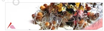 Organización de Eventos